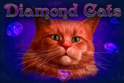 Diamond Cats – игровой автомат казино Вулкан